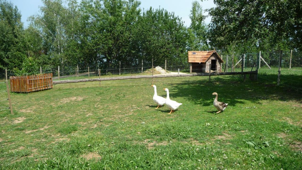 S' Kellerstoeckl Apartman Fehring Kültér fotó